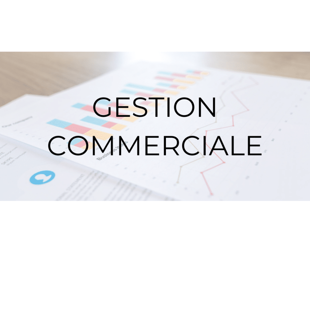 secretaire indépendante gestion commerciale